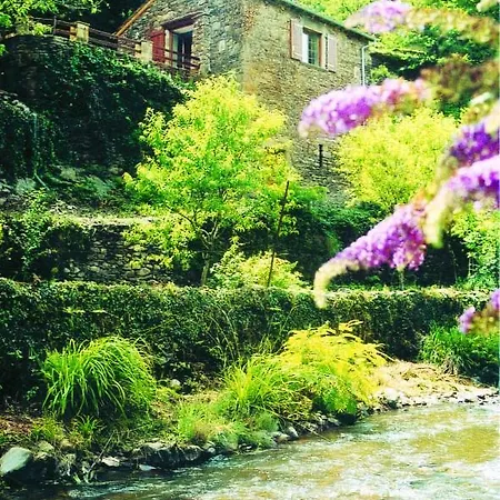 La Bruyere Brousse-le-Chateau